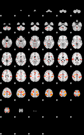 Patient:48;component:147