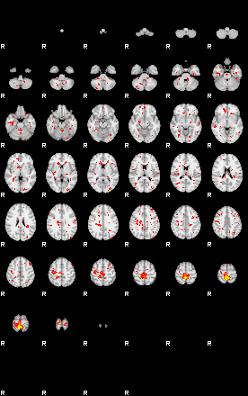 Patient:48;component:166