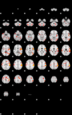 Patient:48;component:170