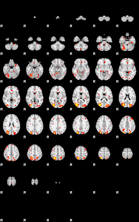 Patient:48;component:184