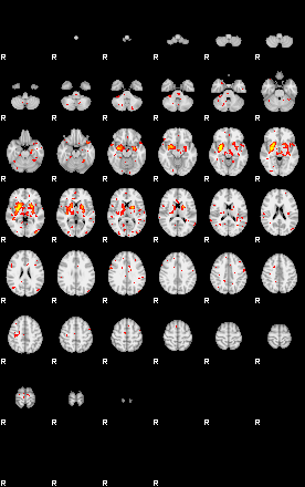 Patient:48;component:186