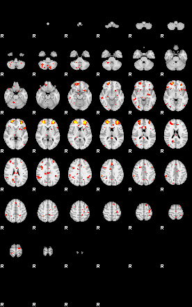 Patient:48;component:193