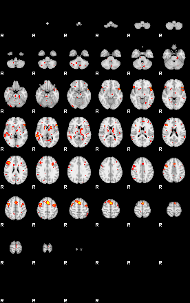 Patient:48;component:194