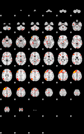 Patient:48;component:3