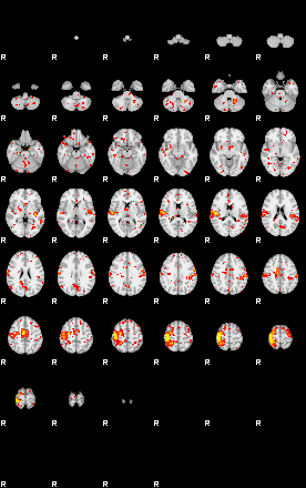 Patient:48;component:60