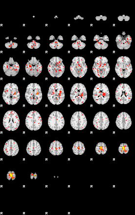 Patient:48;component:67