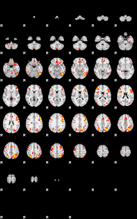 Patient:48;component:73