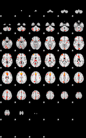 Patient:48;component:81