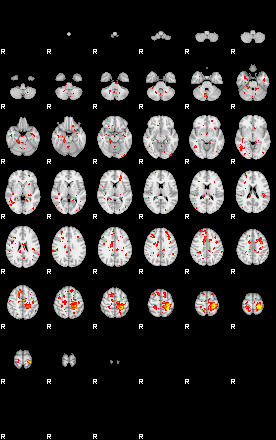 Patient:49;component:104