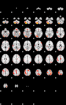 Patient:49;component:114