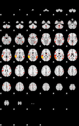 Patient:49;component:131