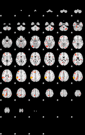 Patient:49;component:138