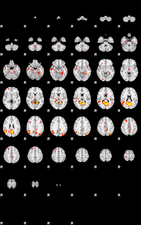 Patient:49;component:142