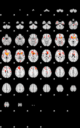 Patient:49;component:153