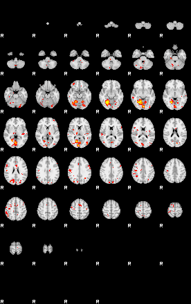 Patient:49;component:177