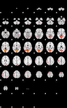 Patient:49;component:181