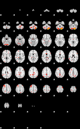 Patient:49;component:199