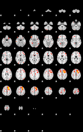 Patient:49;component:23