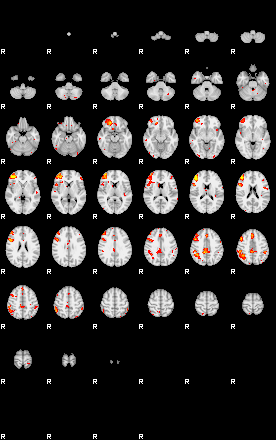 Patient:49;component:7