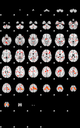 Patient:50;component:104