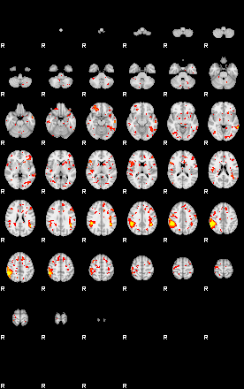 Patient:50;component:138