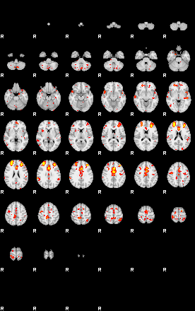 Patient:50;component:146