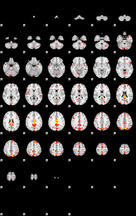 Patient:50;component:74