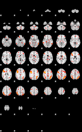 Patient:51;component:119