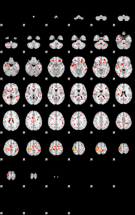 Patient:51;component:178