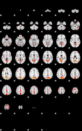 Patient:51;component:181