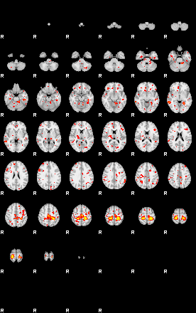 Patient:51;component:37