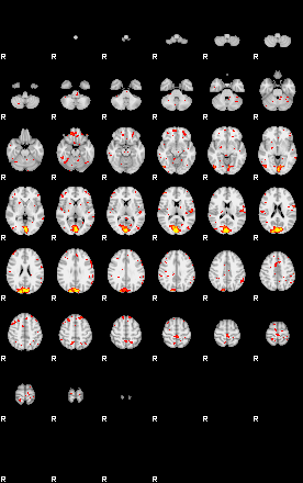 Patient:52;component:102