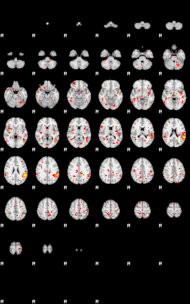 Patient:52;component:123