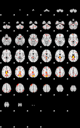 Patient:52;component:135