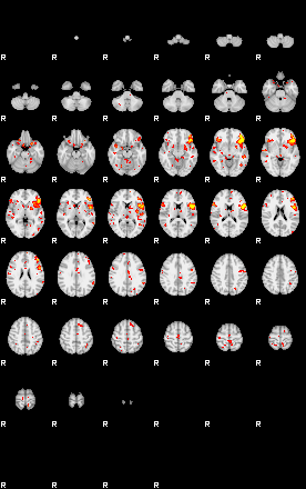 Patient:52;component:141