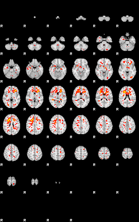 Patient:52;component:153