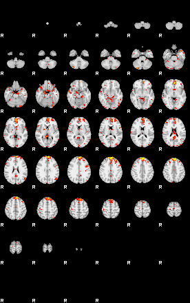 Patient:52;component:155