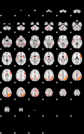 Patient:52;component:156