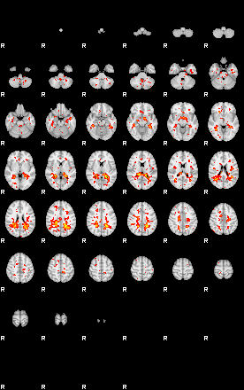 Patient:52;component:157