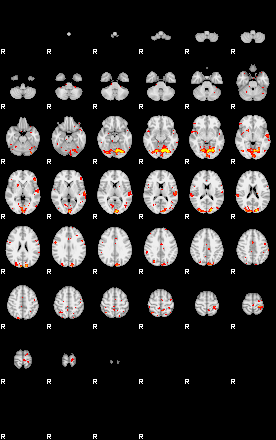 Patient:52;component:191