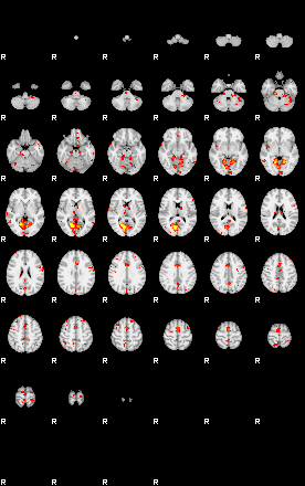 Patient:52;component:29