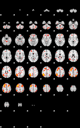 Patient:52;component:36