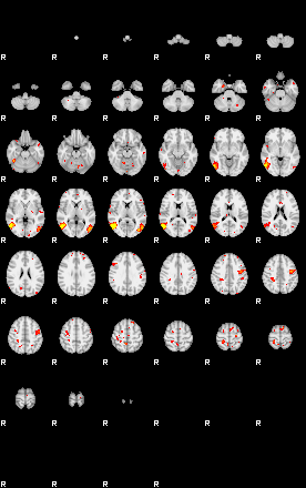 Patient:53;component:100