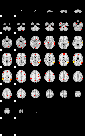 Patient:53;component:107