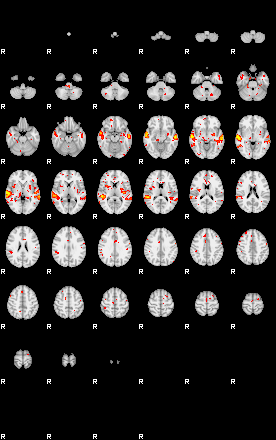 Patient:53;component:120