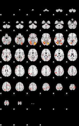 Patient:53;component:126