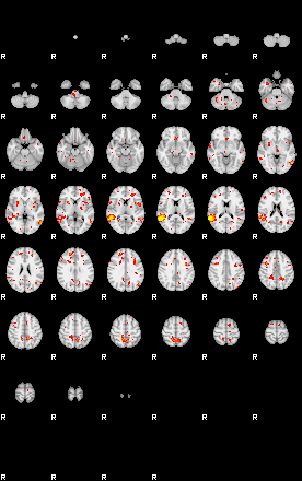 Patient:53;component:131