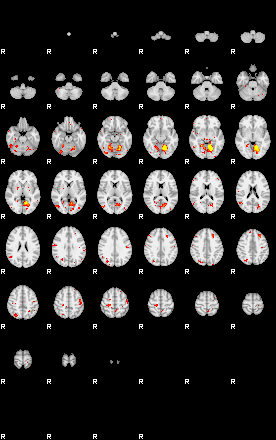 Patient:53;component:136