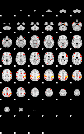 Patient:53;component:141