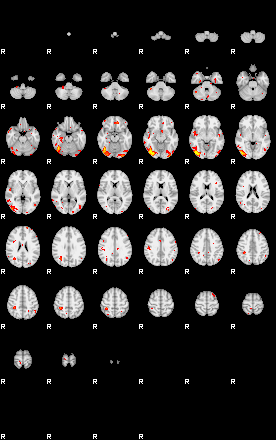 Patient:53;component:143